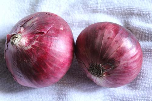 alimentos prohibidos