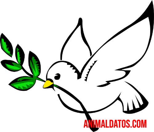 La paloma blanca es considerada el símbolo universal de la paz