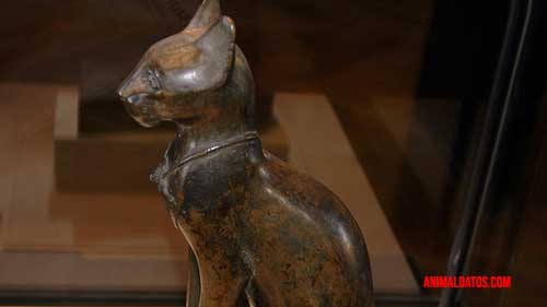 Los Felinos en la Mitología Egipcia