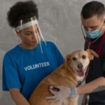 Voluntariado en rescate de animales: como contribuir y hacer la diferencia
