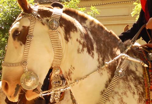 cabezadas para caballos
